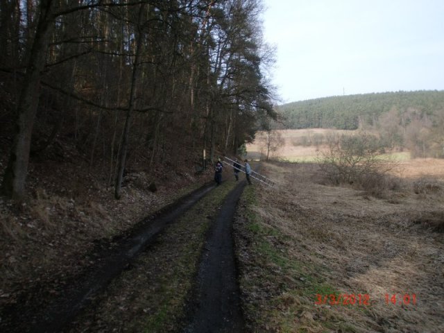 Nistkasten 030312 (29)